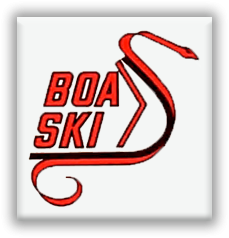 Boa Ski Snowmobiles Boa Brotherhood